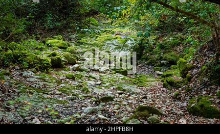 rochers moussus, Saint Zacharie, Source des Nayes, Var, Frankreich, PACA, 83 Stockfoto