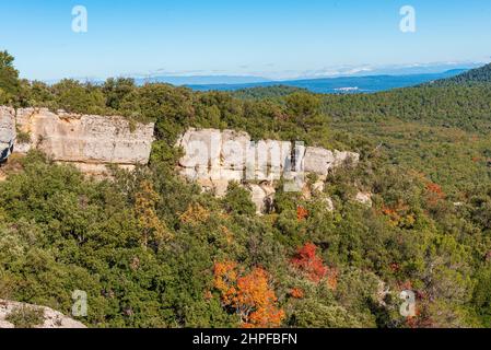 Foret en Automne, Mazaugues, Plans D'aups Var France Stockfoto