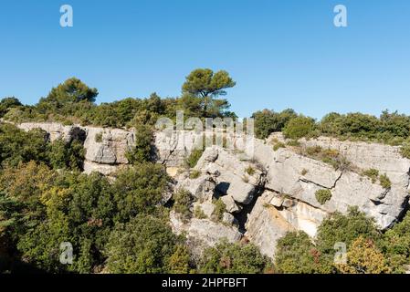 Foret en Automne, Mazaugues, Plans D'aups Var France Stockfoto