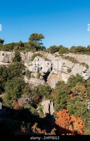 Foret en Automne, Mazaugues, Plans D'aups Var France Stockfoto