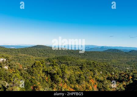 Foret en Automne, Mazaugues, Plans D'aups Var France Stockfoto