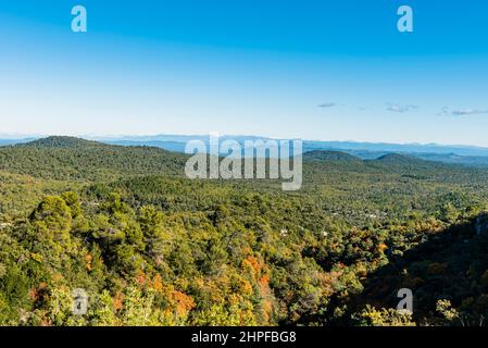 Foret en Automne, Mazaugues, Plans D'aups Var France Stockfoto