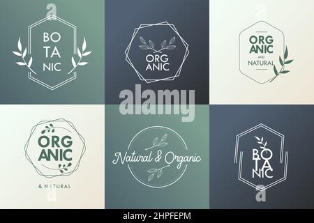 Set von Abzeichen, Banner, Etiketten und Logos für botanische Naturprodukte, Shop. Blattlogo, Blumenlogo. Stock Vektor