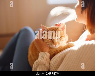 Eine junge asiatische Frau trägt einen warmen Pullover, der an einem Herbsttag mit einer tabby Katze auf dem Sofa zu Hause ruht. Innenaufnahme einer erstaunlichen Dame, die ein Ingwer-Haustier hält. Morgens Schlafzeit zu Hause. Weichfokus. Stockfoto