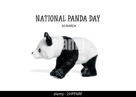 National Panda Day 16. März Feiern Sie die flauschigsten, Bambus-fressenden Bären, die für China Nationalstolz sind. Deshalb ist es wichtig, prot Stockfoto