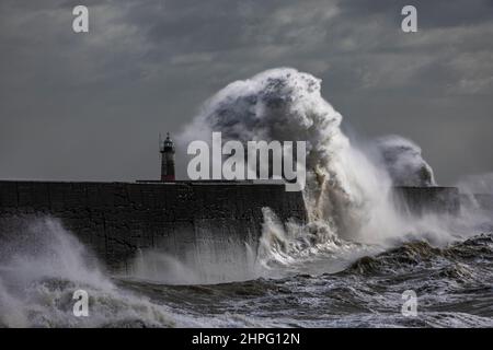 Newhaven Lighthouse, Großbritannien, 21st. Februar 2022. Die Meereswand des Newhaven Lighthouse wurde von starken Wellen getroffen, als der Sturm Franklin fegt, und dachte an Teile der Südküste Englands. Quelle: Steven Paston/Alamy Live News Stockfoto