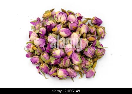 Bud Rose Tea isoliert auf weißem Hintergrund. Heilkräutertee. Stockfoto