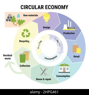 Infografik zur Kreislaufwirtschaft. Nachhaltiges Geschäftsmodell. Schema des Produktlebenszyklus vom Rohstoff bis zur Konstruktion, Produktion, Verbrauch, Wiederverwendung, Stock Vektor