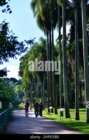 Besucher des Botanischen Gartens in Sao Paulo, Brasilien Stockfoto