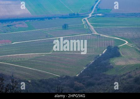 Ländliche Landschaft in der Umgebung von Tokaj, einer historischen Stadt in der Grafschaft Borsod-Abaúj-Zemplén, Nordungarn. Es ist das Zentrum des Tokaj-Heg Stockfoto