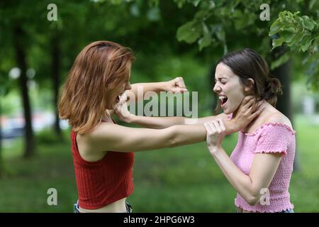 Zwei wütende Frauen kämpfen und rufen in einem Park Stockfoto