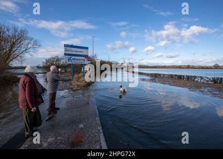 Castleford, Großbritannien. 21st. Februar 2022. Ein Hund spielt auf der Hauptstraße mit seinen Besitzern, als Sturm Franklin den Fluss Aire am 2/21/2022 in Castleford, Großbritannien, zum Platzen bringt und Teile von Castleford, West Yorkshire, überschwemmt. (Foto von James Heaton/News Images/Sipa USA) Quelle: SIPA USA/Alamy Live News Stockfoto