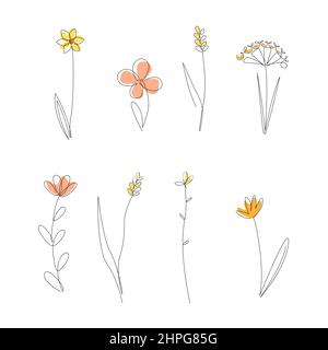 Fortlaufende Linienzeichnung Set Von Wildwiesenpflanzen. Honigblumen isoliert auf weißem Hintergrund, einzeilige Illustration. Vector Set Mit Minimalistischen Prints Stock Vektor