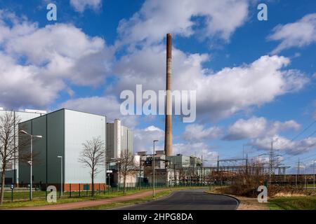 STEAG Blockheizkraftwerk Walsum, Kohlekraftwerk am Rhein Stockfoto