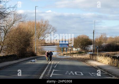 Castleford, Großbritannien. 21st. Februar 2022. Ein Hund spielt auf der Hauptstraße mit seinen Besitzern, als Sturm Franklin den Fluss Aire am 2/21/2022 in Castleford, Großbritannien, zum Platzen bringt und Teile von Castleford, West Yorkshire, überschwemmt. (Foto von James Heaton/News Images/Sipa USA) Quelle: SIPA USA/Alamy Live News Stockfoto