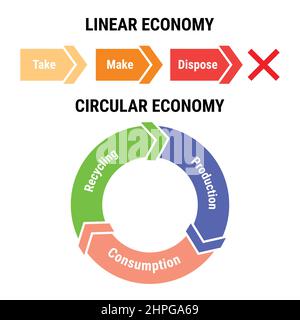 Infografik zum Vergleich der linearen und der kreisförmigen Wirtschaft. Nachhaltiges Geschäftsmodell. Schema des Produktlebenszyklus vom Rohstoff bis zur Produktion, consu Stock Vektor