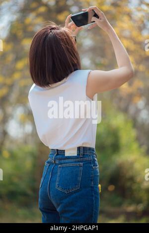 Eine asiatische Touristenfrau entspannt sich und macht ein Foto im wunderschönen, blühenden gelben Blumentunnel. Reise- und Lifestyle-Konzept. Stockfoto