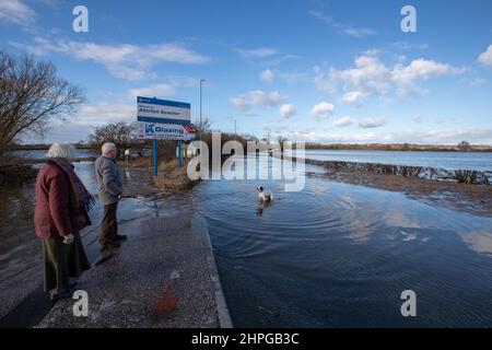 Castleford, Großbritannien. 21st. Februar 2022. Ein Hund spielt auf der Hauptstraße mit seinen Besitzern, als Sturm Franklin den Fluss Aire am 2/21/2022 in Castleford, Großbritannien, zum Platzen bringt und Teile von Castleford, West Yorkshire, überschwemmt. (Foto von James Heaton/News Images/Sipa USA) Quelle: SIPA USA/Alamy Live News Stockfoto