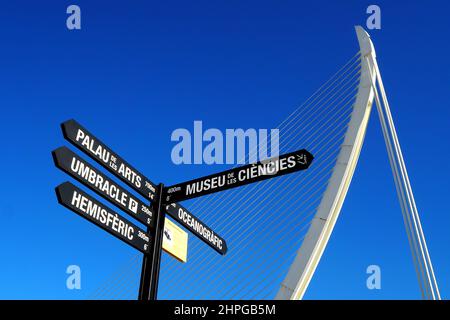 Details der Stadt der Künste und Wissenschaften ( Ciutat de les Arts i le Ciències), entworfen vom spanischen Architekten Santiago Calatrava. Valencia, Spanien Stockfoto