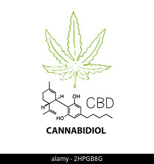 Cannabidiol CBD Bannerkonzept mit chemischer Formel und Hanf-Cannabisblatt. Vektorgrafik Banner im Umrissstil isoliert auf weißem Hintergrund Stock Vektor