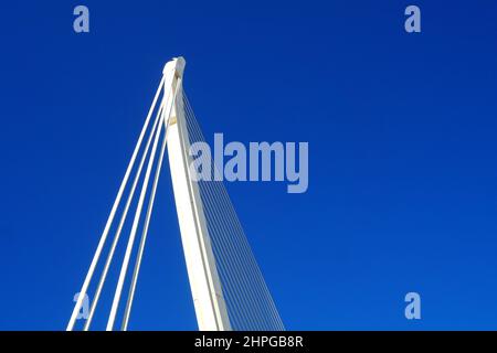 Details der Stadt der Künste und Wissenschaften ( Ciutat de les Arts i le Ciències), entworfen vom spanischen Architekten Santiago Calatrava. Valencia, Spanien Stockfoto