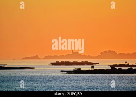 Meereslandschaft in der Abenddämmerung auf der Ría de Arousa, Galicien, Spanien. Silhouetten von Fischerplattformen und einer Insel mit einem Leuchtturm in der Ferne Stockfoto