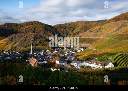 Die kleine Stadt Mayschoss in Rheinland-Pfalz und ein sonniger Herbstmorgen Stockfoto