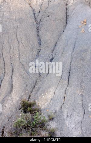Felsformationen in Barranco del Cautivo, Wüste Tabernas, Almería, Andalusien, Spanien Stockfoto