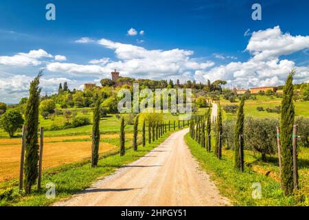 Landschaft mit einem Zypressen gesäumten Weg zum Palazzo Massaini, einem architektonischen Komplex auf einem Hügel in der Nähe von Piezna Stadt in der Toskana, Italien. Stockfoto