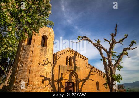 Die Schatten eines Baumes bei Sonnenuntergang an einer Fassade von La Pieve di Corsignano, einer bezaubernden Kirche in der Nähe von Piezna in der Toskana, Italien. Stockfoto