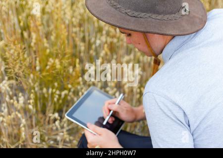 Digitale Farm. Porträt eines Bauern, der im goldenen Weizenfeld sitzt und auf dem Tablet scrollt. Junger Mann mit Cowboyhut auf dem Feld, der Weizenernte untersucht. Hafer Stockfoto