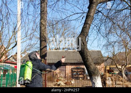 Sprühen Sie Pestizide, Pestizide auf Kirschbaum. Unschärfe Landwirt Mann sprühen Baum mit manuellen Pestizid-Sprüher gegen Insekten im Frühlingsgarten. Agricultu Stockfoto