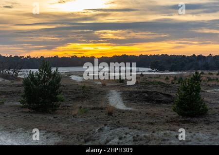 Schöner Sonnenuntergang im niederländischen Nationalpark Loonse en Drunense Duinen, Provinz Nordbrabant Stockfoto