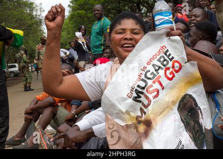 Eine Frau wird mit einem Plakat gesehen, das Präsident Robert Mugabe auffordert, während einer Demonstration gegen seine Herrschaft in Harare zu gehen. An diesem Tag marschierten Scharen von Menschen durch das Land. Simbabwe. Stockfoto