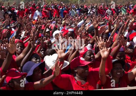 Anhänger der Bewegung für demokratischen Wandel (MDC) werden bei einer Kundgebung in Harare gesehen. Dies war das letzte Treffen vor den Parlamentswahlen. Simbabwe. Stockfoto