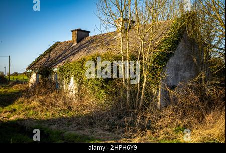 Ein verlassenes und ruiniertes traditionelles Cottage House in der Grafschaft Galway, in Irland. Stockfoto