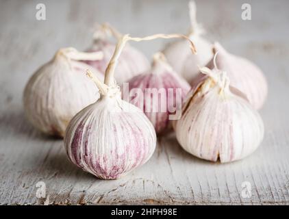 Stilisiertes Bild von Knoblauch, aufgenommen in einem Studio mit professioneller Beleuchtung Stockfoto