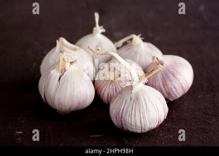 Stilisiertes Bild von Knoblauch, aufgenommen in einem Studio mit professioneller Beleuchtung Stockfoto