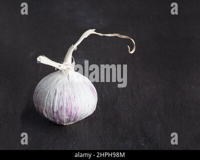 Stilisiertes Bild von Knoblauch, aufgenommen in einem Studio mit professioneller Beleuchtung Stockfoto