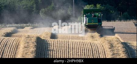 Kombination von Weizenernte mit einem John Deere Mähdrescher T670 in der Nähe von Lanark, Schottland, Großbritannien. Stockfoto