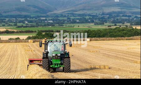 Herstellung von Strohballen für Tierbezüge mit einem John Deere Traktor 6130R und einer alten internationalen Ballenpresse und einem flachen 8-System. Eden Valley, Cumbria, Großbritannien. Stockfoto