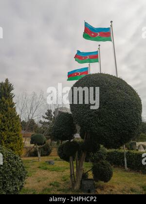 Aserbaidschanische Flaggen winken in einem ukrainischen Park. Stockfoto