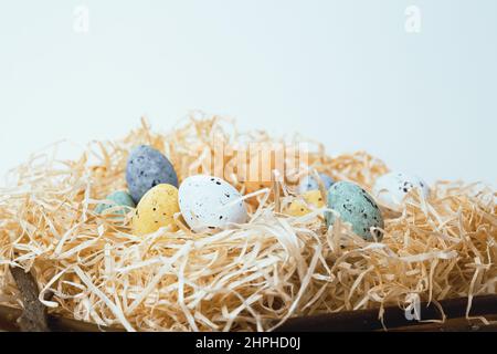 Osterhintergrund mit blauen, weißen, gelben Eiern im Nest. Kleines Nest mit Eiern. Minimale osterzusammensetzung mit ostereiern. Leerraum, Copyspace Stockfoto