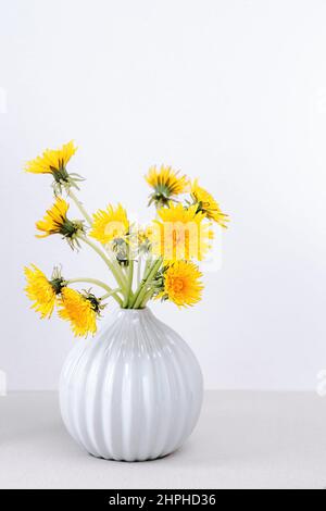 Gelbe Delelions in Vase auf weißem Hintergrund, Nahaufnahme, Kopierraum. Blumenstrauß sonnige Wildblumen-Elendelionen in Keramikvase in hellem Hintergrund Stockfoto