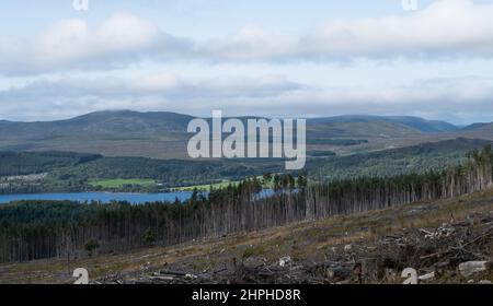 Blick über Loch Rannoch in Richtung Creag a'Mhadaidh mit einem gerodeten Waldgebiet im Rannoch-Wald im Vordergrund, Tay Forest Park, Loch Rannoch, SC Stockfoto