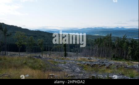 Blick über Loch Rannoch in Richtung Creag a'Mhadaidh mit einem gerodeten Waldgebiet im Rannoch-Wald im Vordergrund, Tay Forest Park, Loch Rannoch, SC Stockfoto