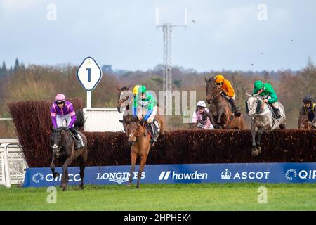 Ascot, Bergen, Großbritannien. 19th. Februar 2022. Fahrer der Swinley Chase GreatBritishStallion-Showcase.co.uk auf der Ascot Racecourse. Quelle: Maureen McLean/Alamy Stockfoto