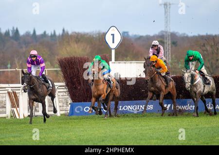 Ascot, Bergen, Großbritannien. 19th. Februar 2022. Fahrer der Swinley Chase GreatBritishStallion-Showcase.co.uk auf der Ascot Racecourse. Quelle: Maureen McLean/Alamy Stockfoto