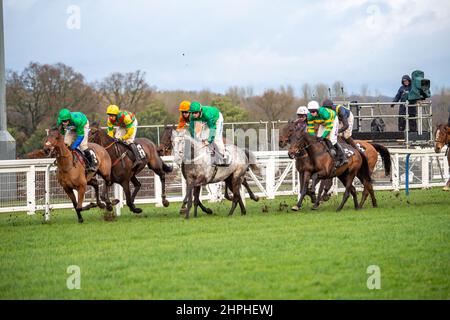 Ascot, Bergen, Großbritannien. 19th. Februar 2022. Fahrer der Swinley Chase GreatBritishStallion-Showcase.co.uk auf der Ascot Racecourse. Quelle: Maureen McLean/Alamy Stockfoto