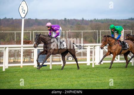 Ascot, Bergen, Großbritannien. 19th. Februar 2022. Fahrer der Swinley Chase GreatBritishStallion-Showcase.co.uk auf der Ascot Racecourse. Quelle: Maureen McLean/Alamy Stockfoto